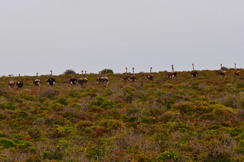 South Africa